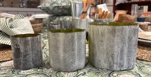 [ELD007] Photophore Mossa (Small)