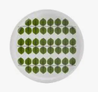 [AP0005] Plateau bricka  rond 31cm - Berså