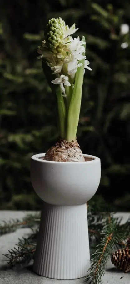 [SF0004] Vase Jacynth - LERYD - haut - blanc