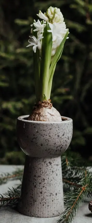 [SF0005] Vase Jacynth - LERYD - haut - nature